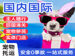 温州龙湾航空运输国际宠物托运 【国
